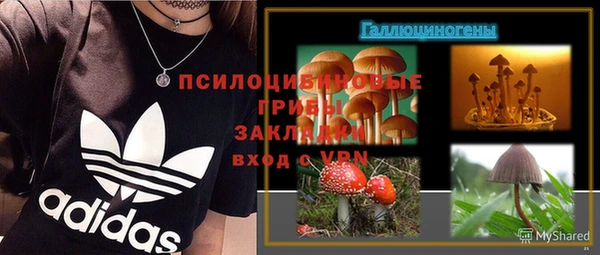 spice Карталы