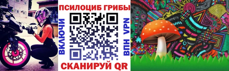 Псилоцибиновые грибы Cubensis Купить закладки Дюртюли